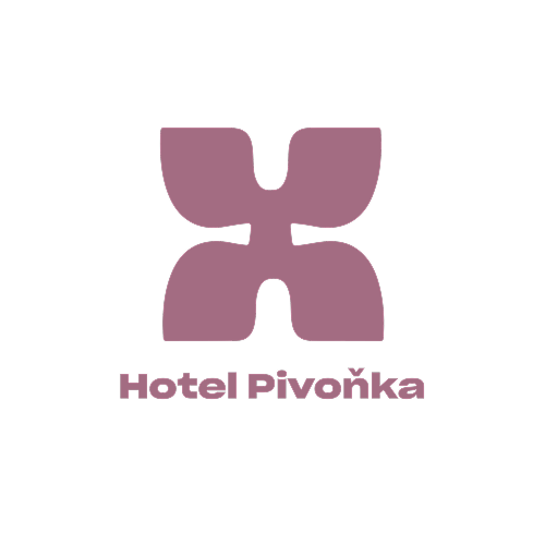 Partner Filmové Renesance Slavonice